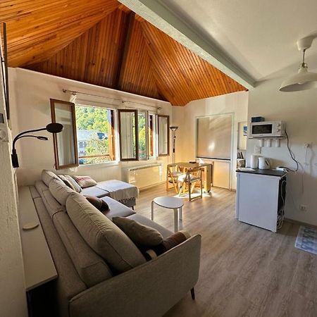 Appartement Borderes-Louron 1 A 3 Personnes 3 Etoiles, Proche Loudenvielle 外观 照片